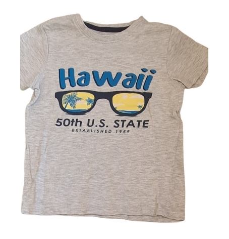 LITTLE KIDS 'Hawaii' T-Shirt Boys 4-5 Years