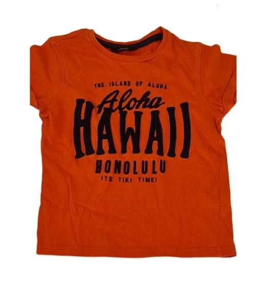 GEORGE 'Hawaii' T-Shirt Boys 5-6 Years