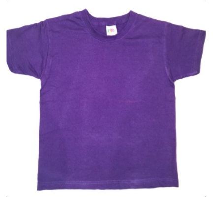 FRUIT OF THE LOOM Purple T-Shirt Boys 5-6 Years