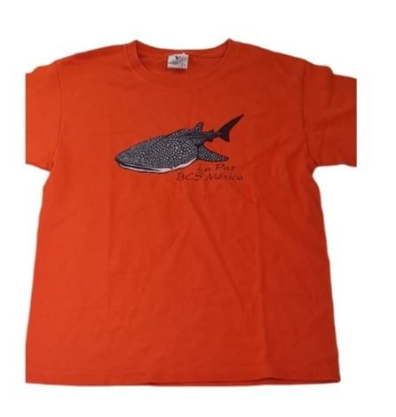 Orange Shark T-Shirt Boys 11-12 Years