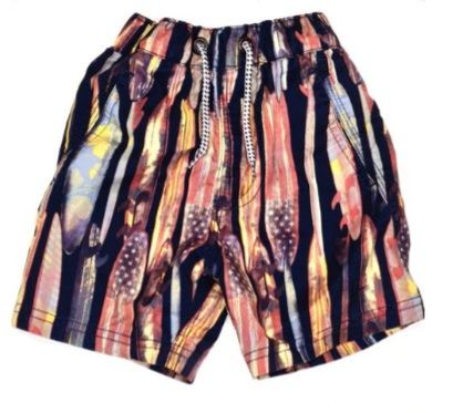 Multicoloured Swim Shorts Boys 18-24 Months