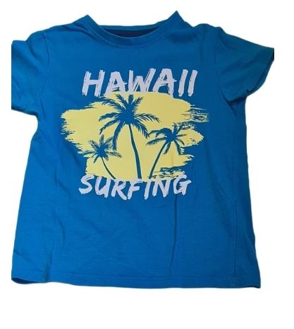 LITTLE KIDS 'Hawaii' T-Shirt Boys 4-5 Years