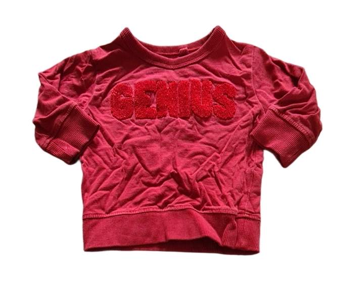 NEXT 'Genius' Red Jumper Boys 3-6 Months