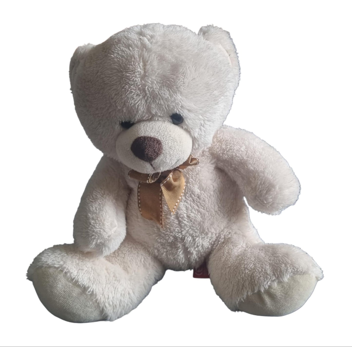 Teddy Bear Toy