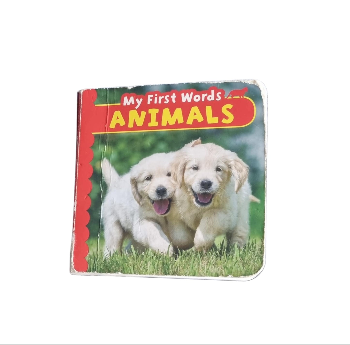 Animal Book